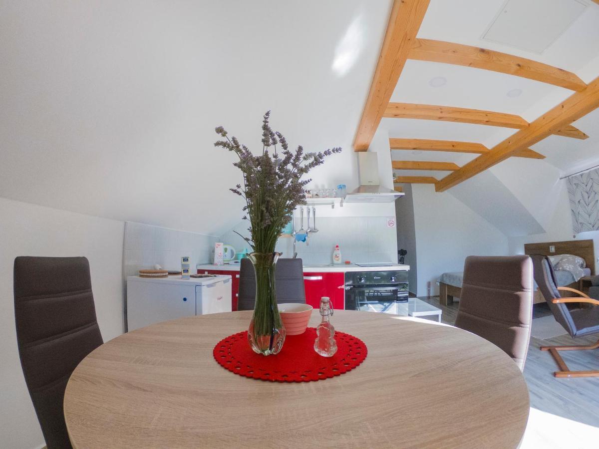 Studio Apartment Karlo ドレツニック・グラード エクステリア 写真
